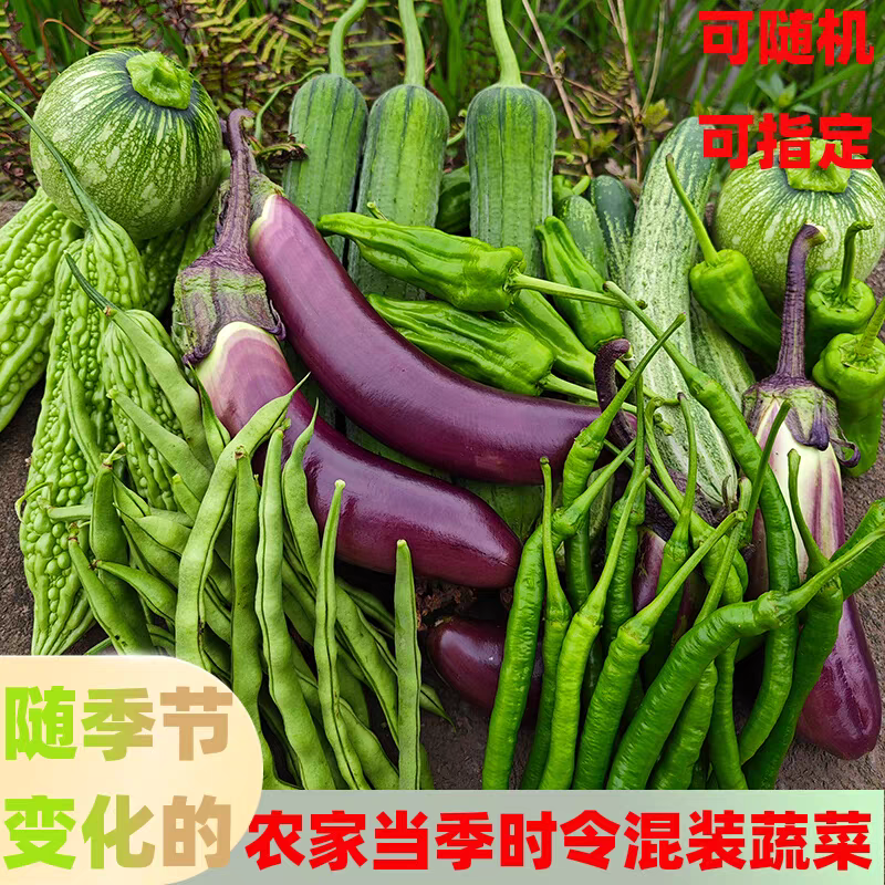混合蔬菜苦瓜丝瓜西红柿辣椒茄子黄瓜缸豆随机季节现摘现发