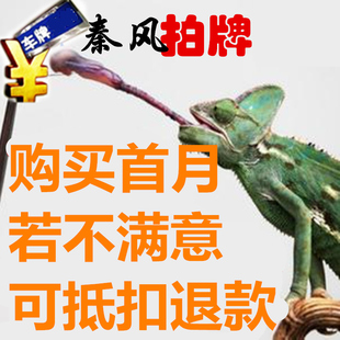 拍牌软件代拍上海车牌牌照代拍沪牌代拍上海公司企业车牌追击者