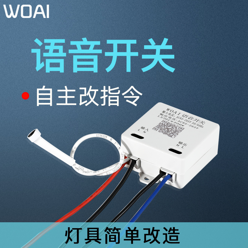 语音智能遥控开关模块灯具改造