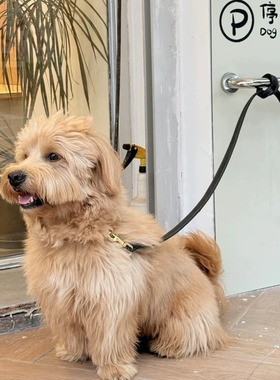 停狗位宠物停狗位宠物栓绑停歇位上墙不锈钢狗栓把手牵引绳挂绳处