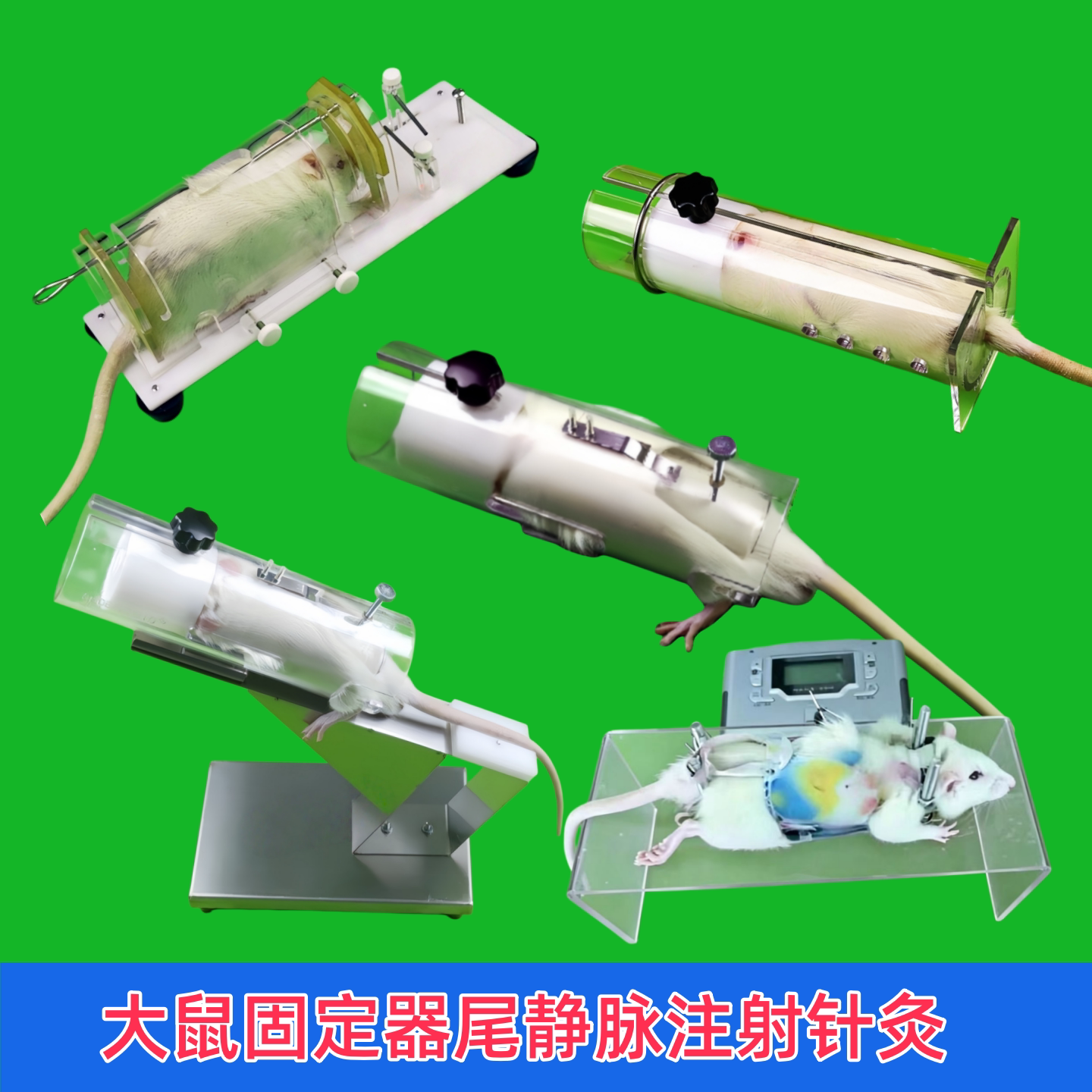 大鼠固定器尾注神器固定筒架柔软型针灸老鼠保定板尾静脉腹腔注射