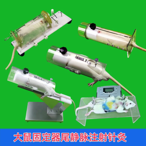 大鼠固定器尾静脉注射针灸束缚器