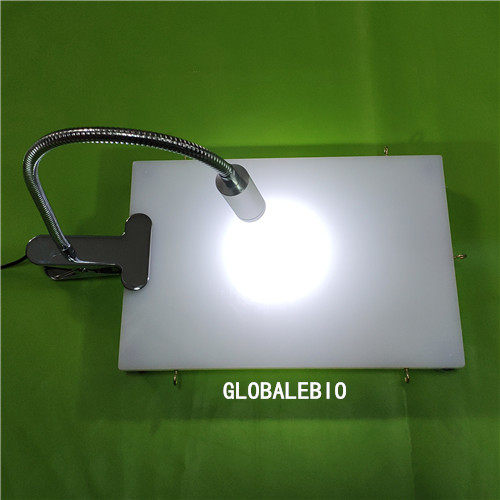 大鼠解剖台 小鼠解剖台 实验小动物解剖台 大小鼠手术板手术台灯