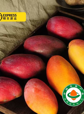 【树熟露天】Mellow Mango润香糯！云南高山露天有机芒果自然树熟