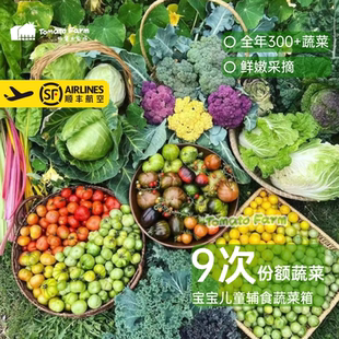 蔬菜9次份额（电话确认后发货）每周一次） 每次6斤现摘现发鲜嫩