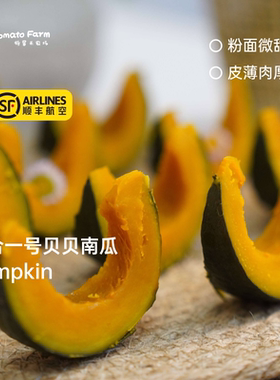 粉面微甜！Pumpkin惠合一号贝贝南瓜正宗贝贝顺丰京东 · 5斤软糯