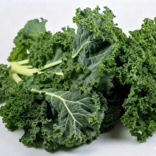 【羽衣甘蓝】新鲜采摘羽衣甘蓝蔬菜顺丰500g叶菜沙拉蔬菜应季蔬菜