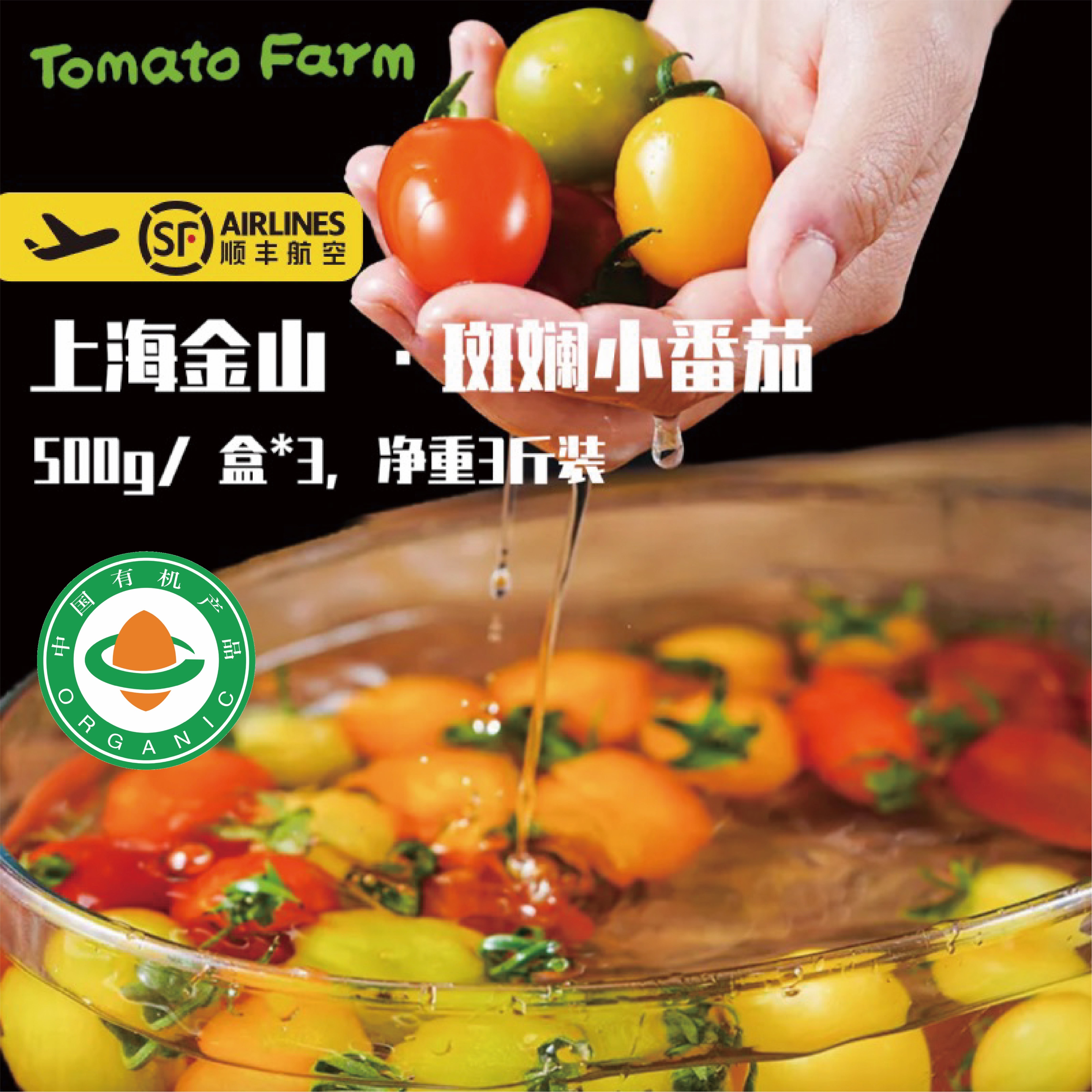 上海有机斑斓小番茄【3斤装】1斤*3盒（3-5个品种混发）有机种植