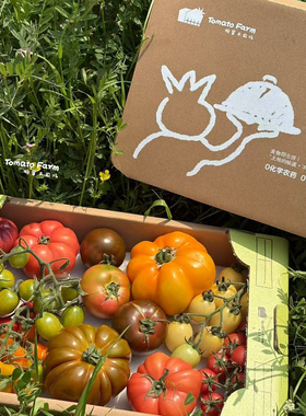 Mixed Tomatoes混品种番茄纸托礼盒端午礼盒