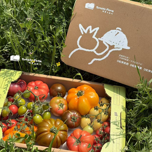 Mixed Tomatoes混品种番茄纸托礼盒端午礼盒生鲜老品种西红柿限定