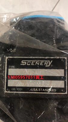 SCENERY叶片泵SSER1-4-1C