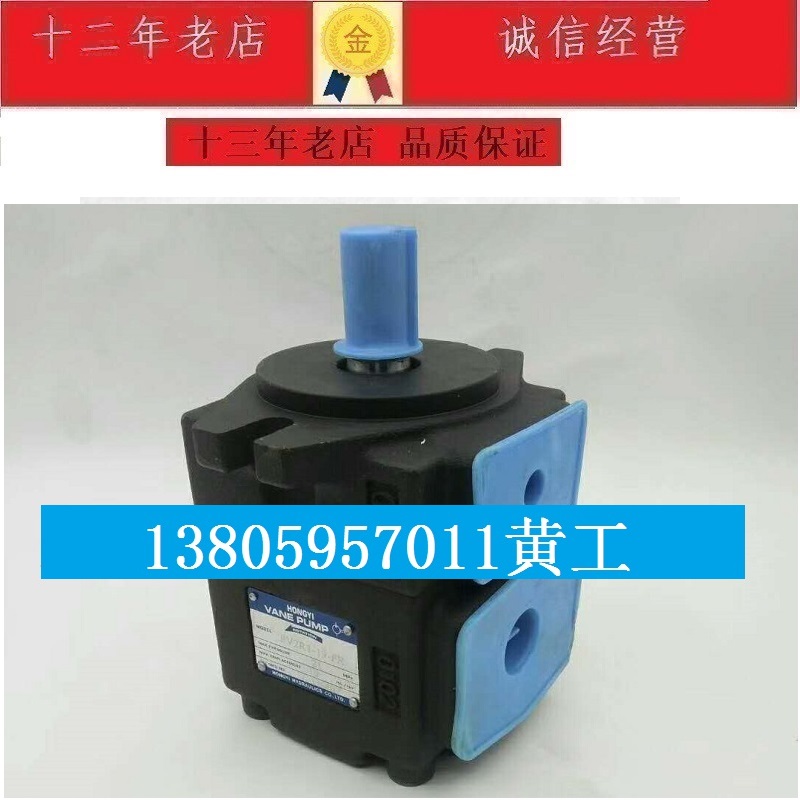 台湾弘一HONGYI叶片泵HYBE-63 HYBE-40 HYBE-50 HYBE-80 HYBE-60