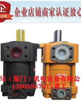 CHENGJIE诚捷齿轮泵NT4-C125F NT5-C160F NT5-C200F NT5-C250F