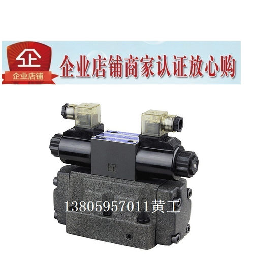 LITAND LYOUTIAN电磁阀SW-G06-C2-A240-10/20 G04 D24 E ET T G10