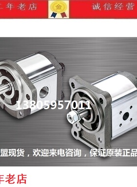 原装正品台湾钰盟HONOR齿轮泵2GG1P16R P09F46 2GG9P30L 2GG9P16R