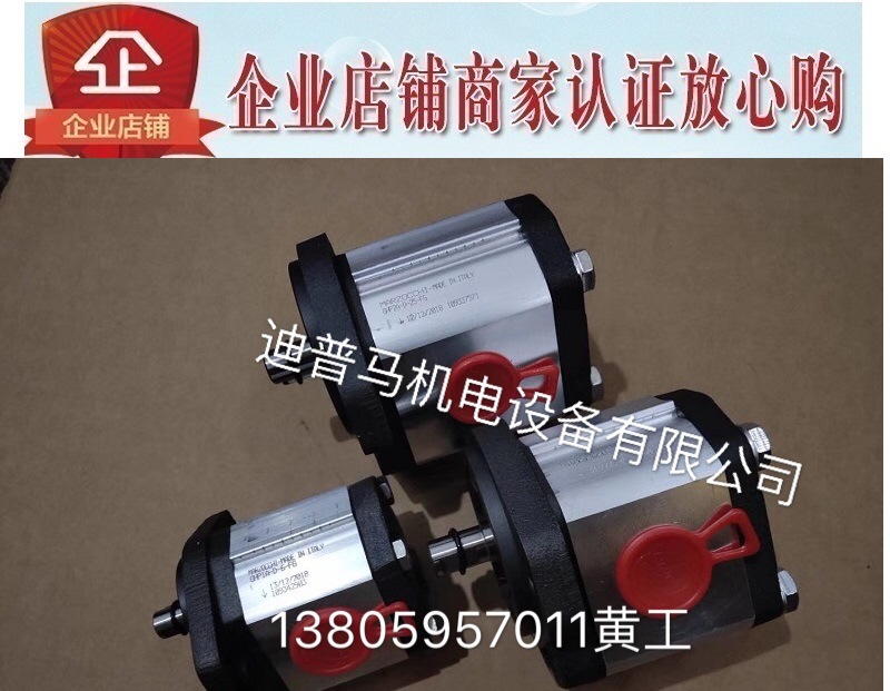 marzocchi意大利马祖奇齿轮泵GHP1A-D-4-FG GHP1A-D-5-FG GHP1A-S