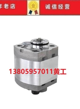 SAIRUI齿轮泵CBN-E306-CFPRN CBT-F550 CBT-G310-FPR