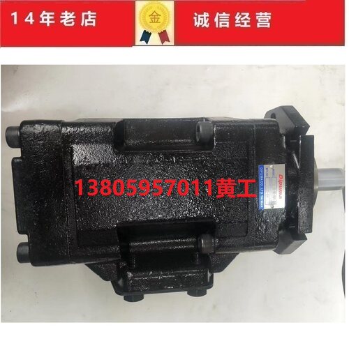 台湾迪普马DIPUMA伺服泵SV22M-80-80-R01-B1 SV11C-50-32-R01-B1