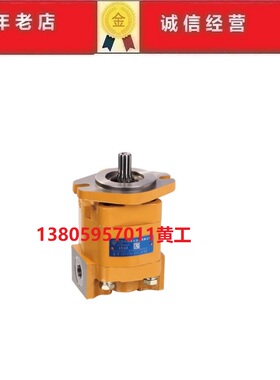 合肥长源液压齿轮泵CBTZTA-F20-AFφ