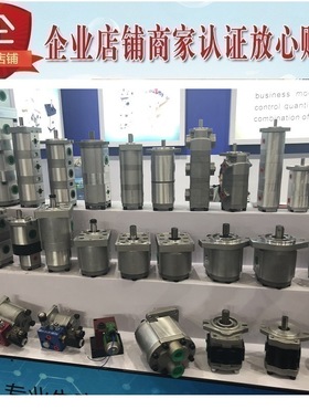 齿轮泵HGP-22A-F22R HGP-22A-F33R HGP-22A-F44R HGP-22A-