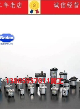 台湾BODEN双联齿轮泵BHP1/1-A0-D-1.6/1.6-C0-R0/R0-F BAP2B15D22