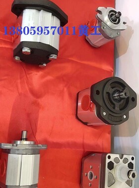 marzocchi意大利马祖奇齿轮泵GHP2BK1-D-22-C1-FG