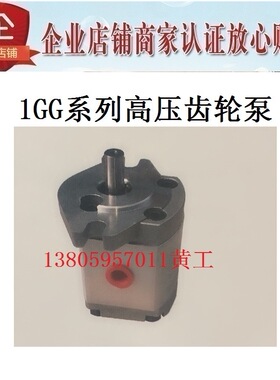 齿轮泵1GG1P01R 1GG1P02R 1GG1P27R 1GG1P35R U N B 2 3 5
