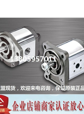 台湾钰盟HONOR齿轮泵2GG1P07R 2GG1P08R 2GG1P09R 2GG1P11R 2GG1B