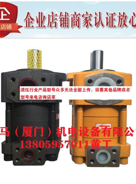 CHENGJIE诚捷齿轮泵NT3-G20F NT3-G25F NT3-G32F  NT4-G40F