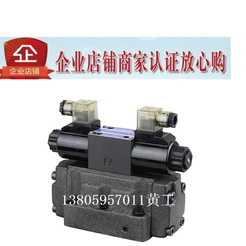 LITAND LYOUTIAN电磁阀SW-G06-C9S-A240-10/20 G04 D24 E ET G10