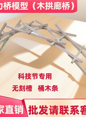 倍力桥模型木拱廊桥科学实验