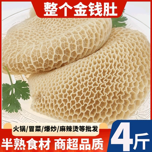 金钱肚新鲜冷冻牛肚商用半成品牛金钱肚整个蜂窝肚冰冻生鲜非全熟