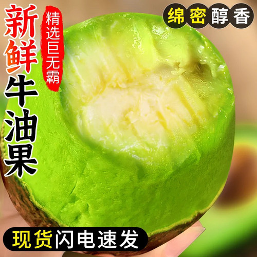 云南新鲜牛油果水果包邮当季一级宝宝辅食熟透即食鳄梨孕妇大果