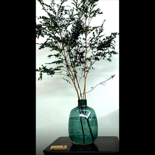 高级吊钟南天竹马醉木玻璃大肚落地特大号花瓶客厅阳台插花器摆件