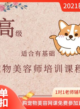 高级宠物美容师培训课程