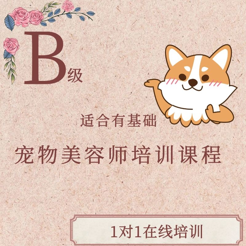 B级宠物美容师培训课程