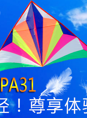 飞悦PA31P31n P31超微风易飞风筝大型专业成人二2三3平钻石钻天燕