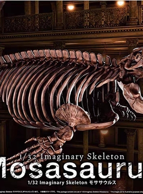 万代 Imaginary Skeleton 1/32 沧龙 骨架化石 带底台 拼装模型