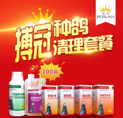 搏冠种鸽清理套餐粉剂版组合100羽赛信鸽子用品博冠整理调理套装