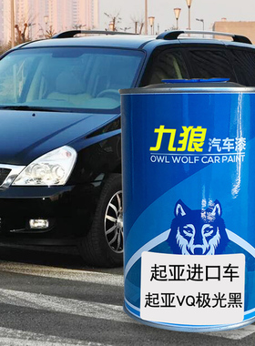 九狼汽车漆起成品亚漆原车漆VQ极光黑Ray EV白色亮银色嘉华亮银色