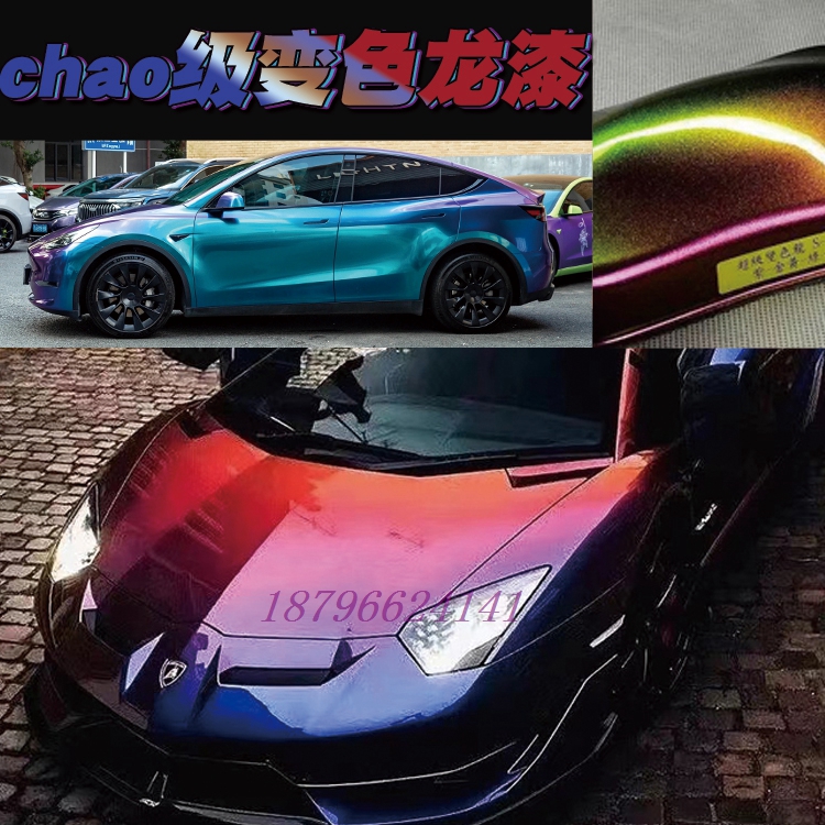 进口鹦鹉超级变色龙多彩特色漆个性改成全车高端定制喷漆06cjb