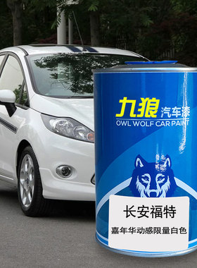 九狼白色摩卡棕汽车漆