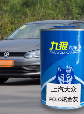 九狼汽车上漆汽大成品众改色车喷漆POLO炫金灰星际灰银河蓝探影红