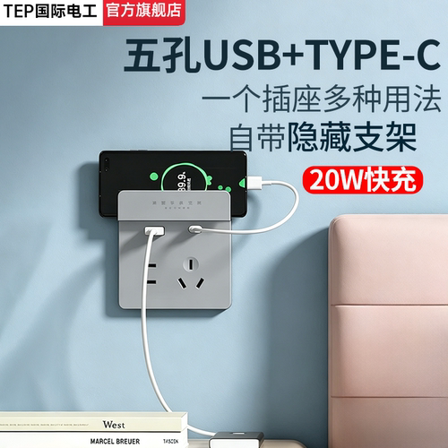 国际电工86型USB+Type-C插座面板