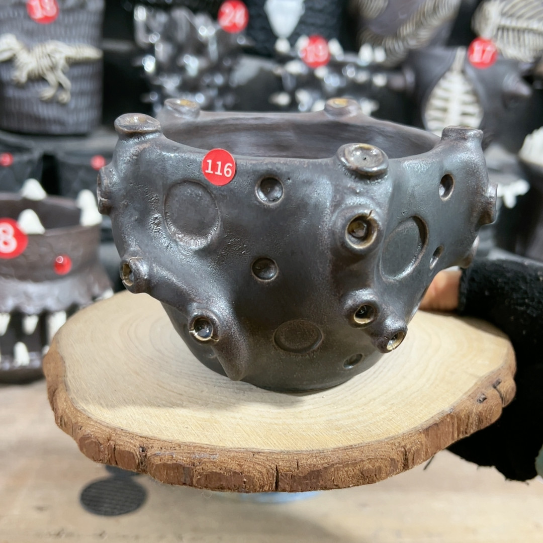 内口9.5外高9,鲜花速递/花卉仿真/绿植园艺,花盆,淘宝优惠券,粉丝福利购,淘宝优惠卷