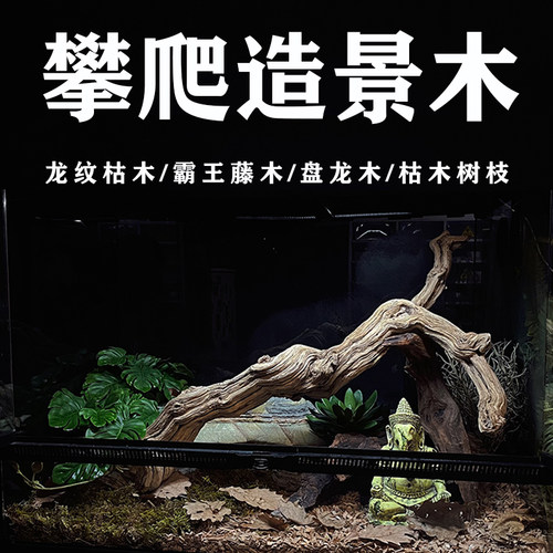 爬宠攀爬木造景木头树枝龙纹枯木