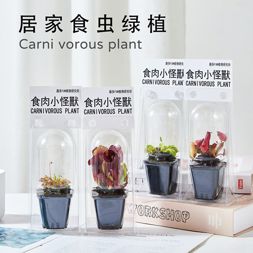 食肉小怪兽礼盒拯救焦虑30天包活