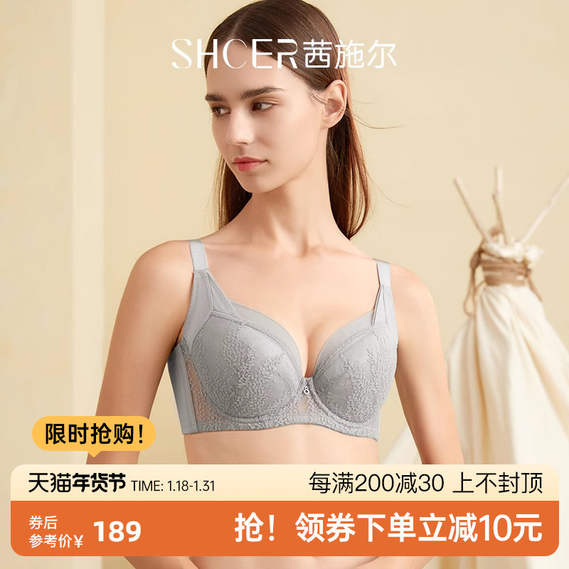茜施尔新款大胸显小秋冬文胸性感蕾丝侧收副乳调整型内衣女AAB114