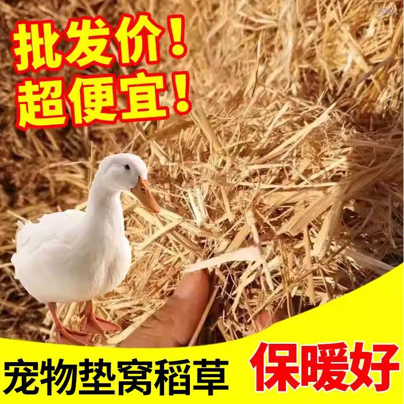 稻草垫窝保暖干净干燥东北小鸡保暖养兔子鸽子窝繁鸽子窝垫草垫子