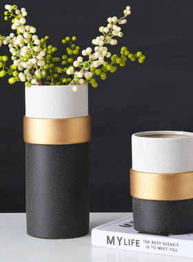 哑光磨砂黑色花瓶现代轻奢陶瓷花器中式客厅餐摆件样板间软装饰品